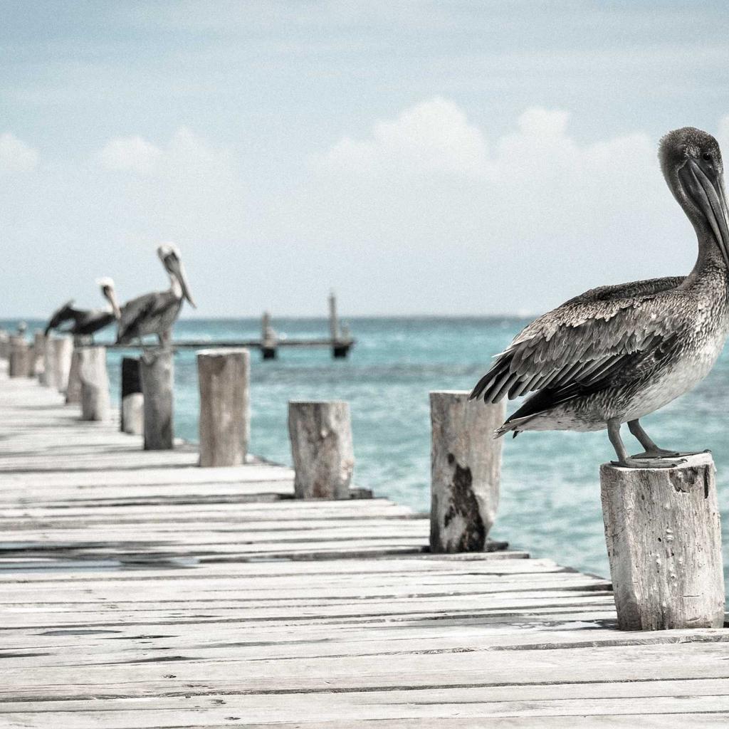 Airplane - professional stock photography