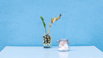 Airplane - professional stock photography