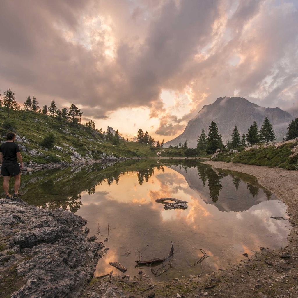 Bridge - professional stock photography