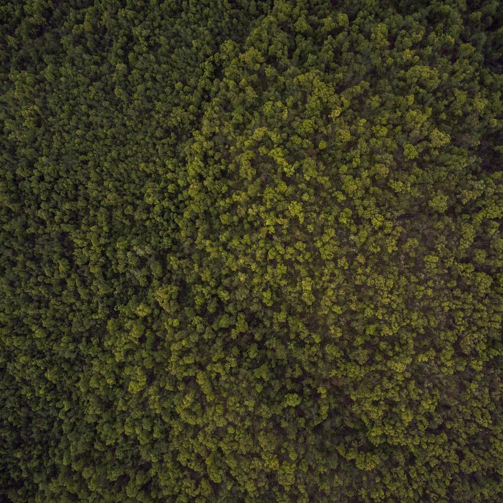 Bridge - professional stock photography