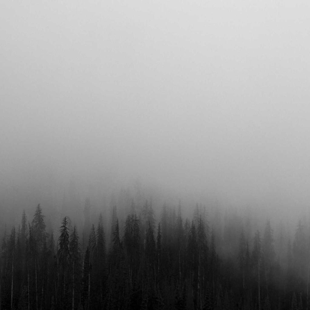 Campfire - professional stock photography