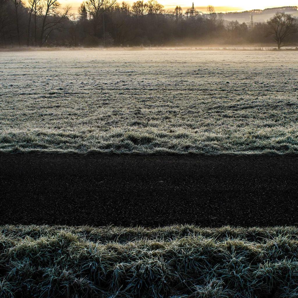 Campfire - professional stock photography