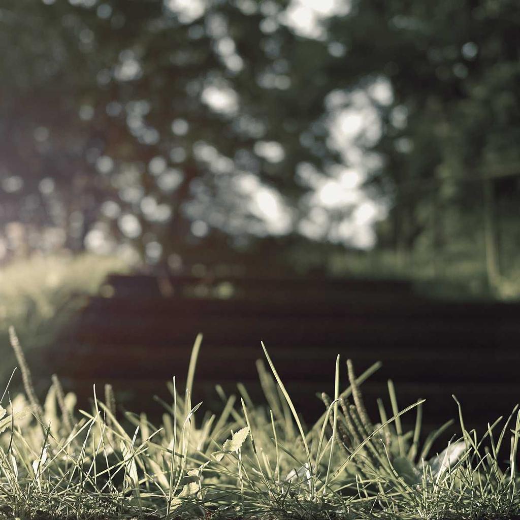 Castle - professional stock photography