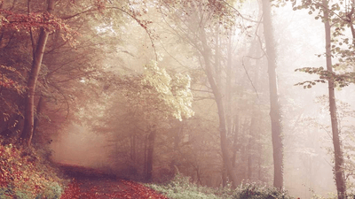 Compass - professional stock photography