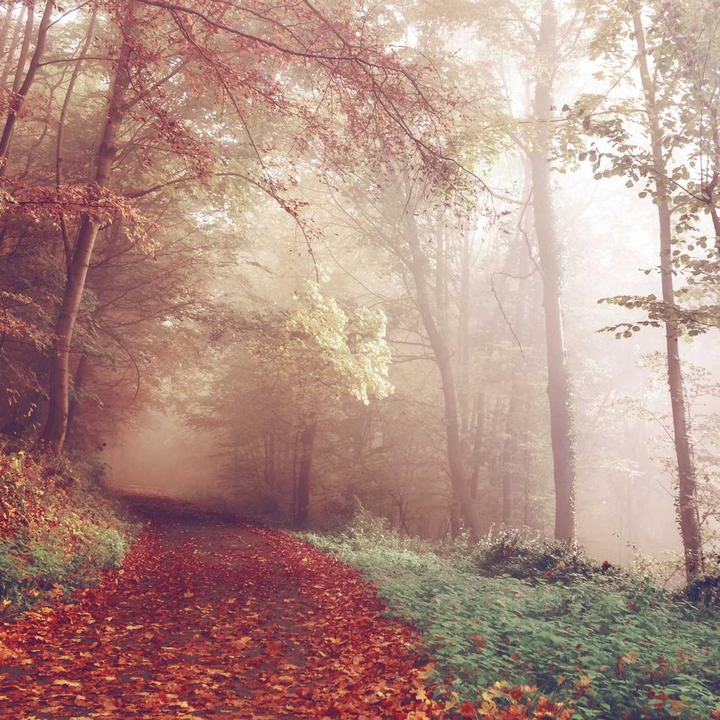 Compass - professional stock photography