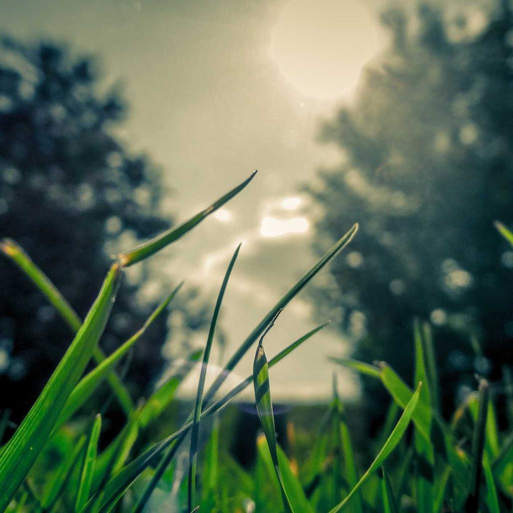Desert - professional stock photography