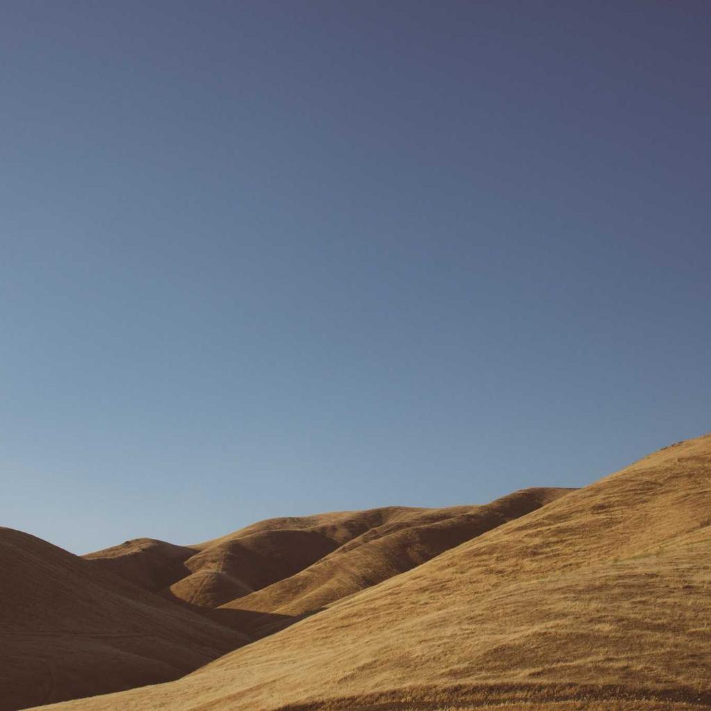 Desert - professional stock photography