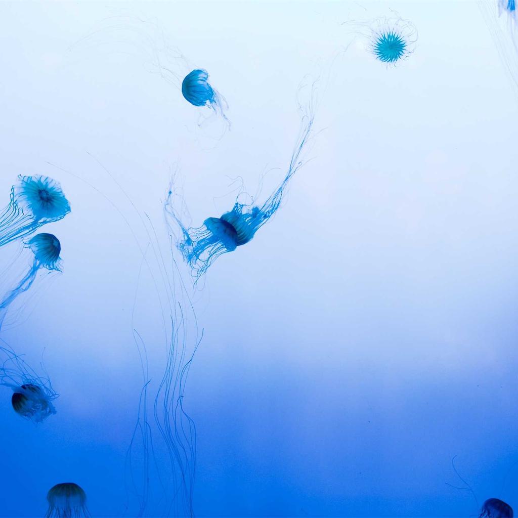 Desert - professional stock photography