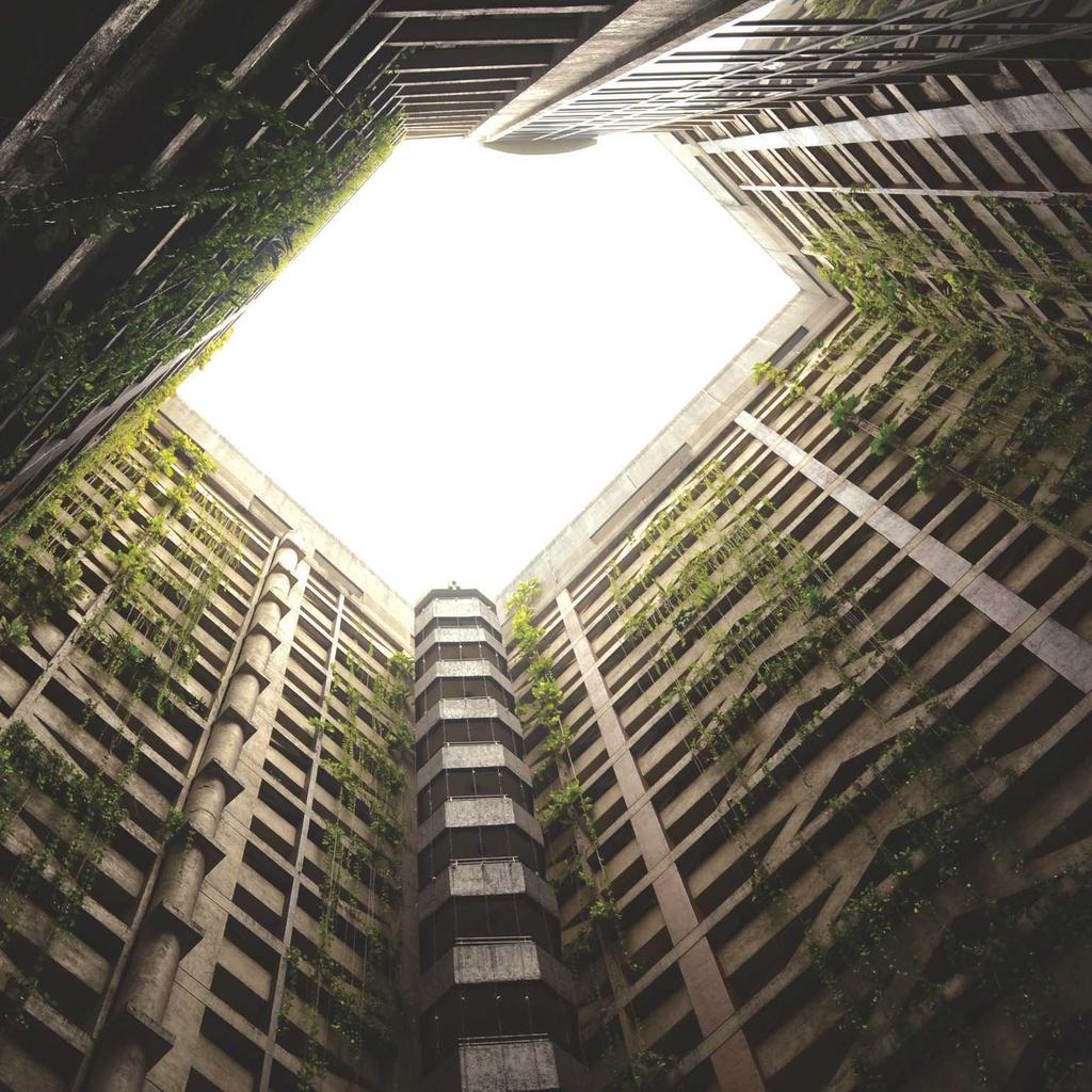 Forest - professional stock photography