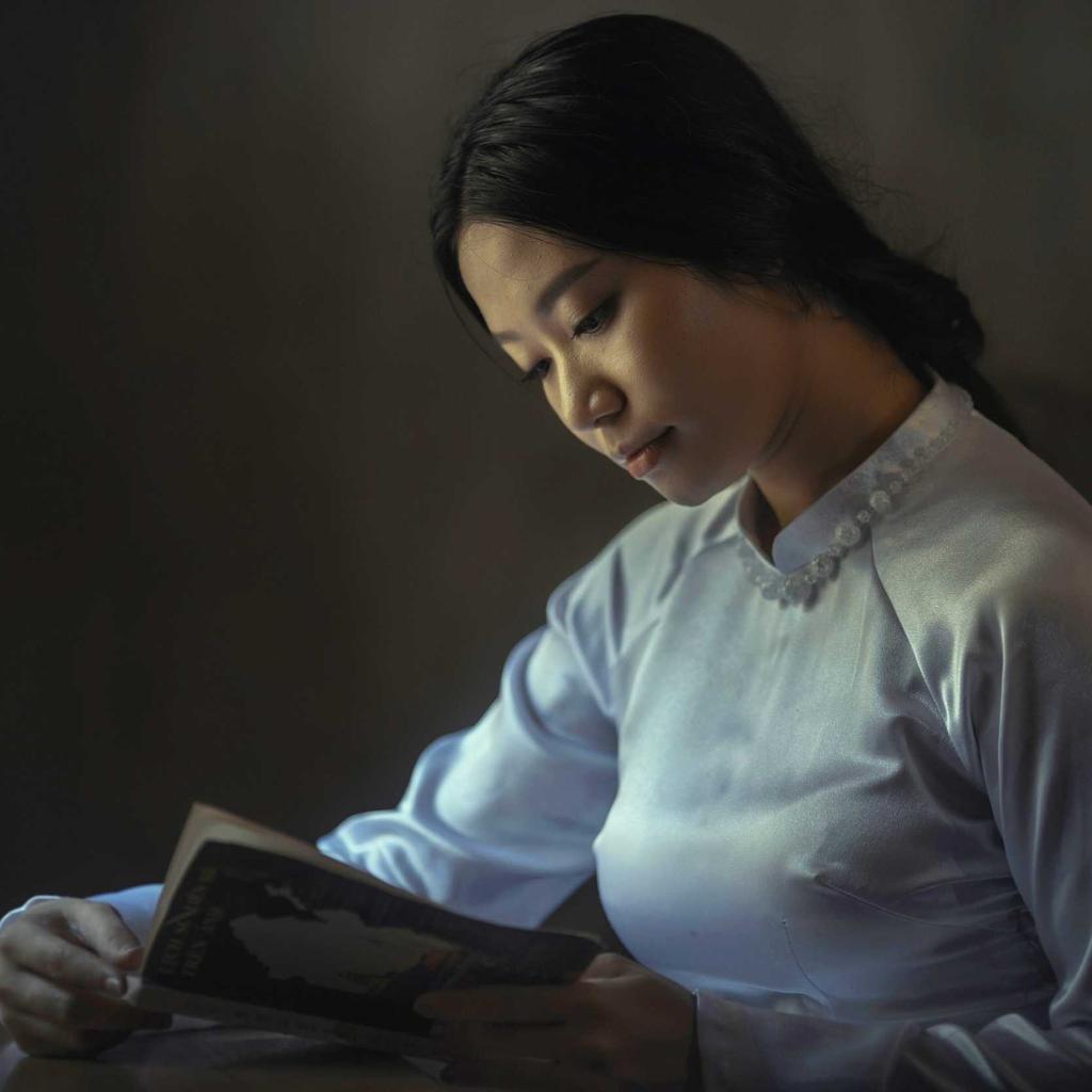 Forest - professional stock photography