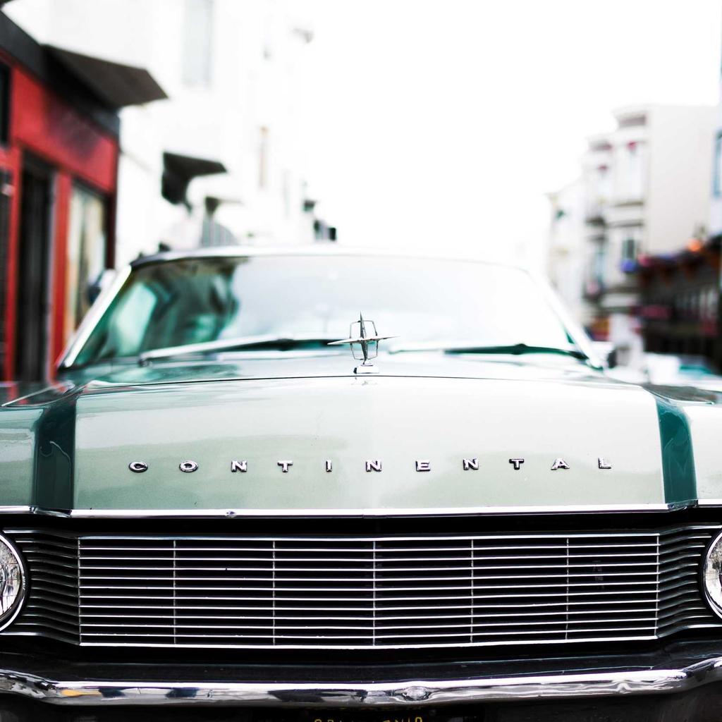 Forest - professional stock photography