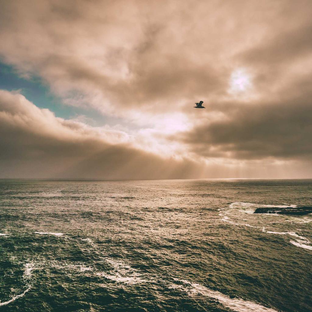 Island - professional stock photography