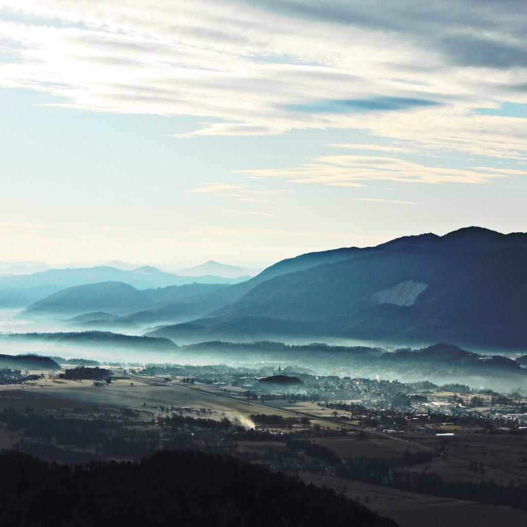 Market - professional stock photography