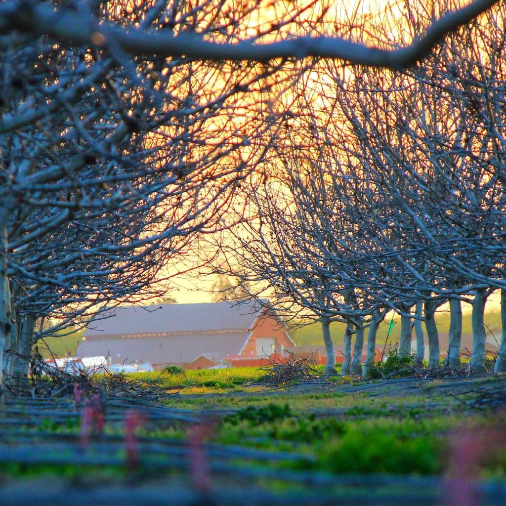 Mountain - professional stock photography