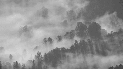 Passport - professional stock photography