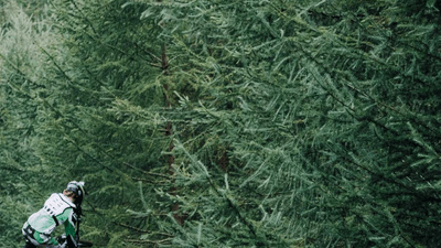 Passport - professional stock photography