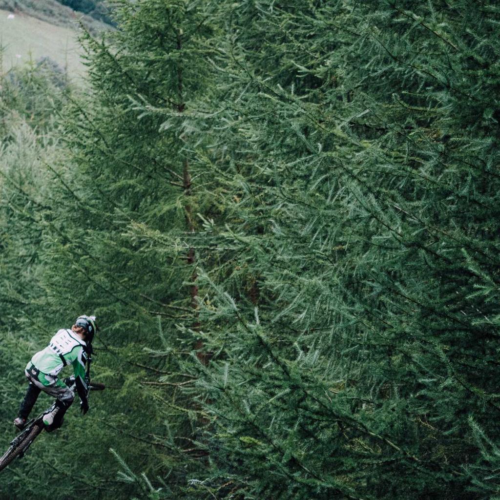 Passport - professional stock photography